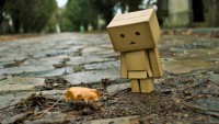 /album/dobozemberkek-/a6483-1-other-wallpapers-hd-wallpapers-box-man-jpg/