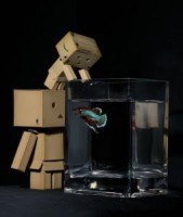 /album/dobozemberkek-/a1ddc3eb63397770b06b5ae29251fc9a747415955adb974-jpg/