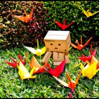 /album/dobozemberkek-/feeding-fire-bird-box-amazon-crane-origami-fun-yard-lawn-300x300-jpg/
