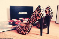 /album/magassarkuk/a409038-225742897511444-182112408541160-515968-457237820-n-jpg/